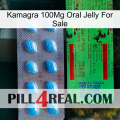 Kamagra 100Mg Oral Jelly For Sale new03